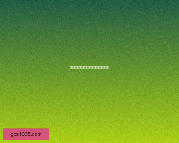 大话神仙全方位攻略：从新手到高手的成长之路与技巧分享