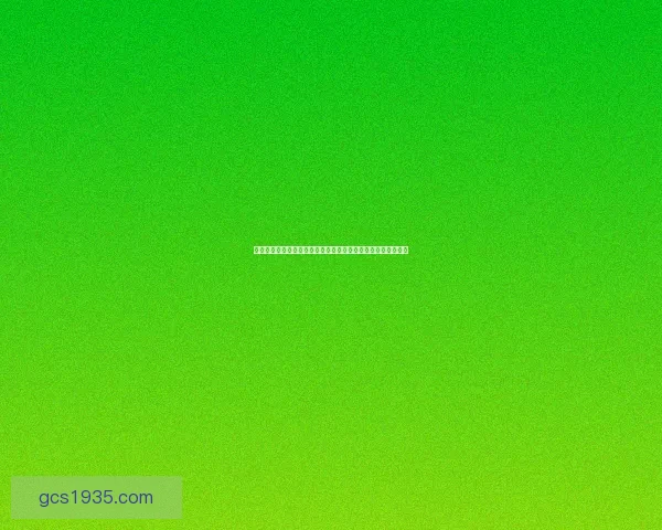 锤石符文解析与应用技巧全面解读如何提升游戏体验与战斗策略